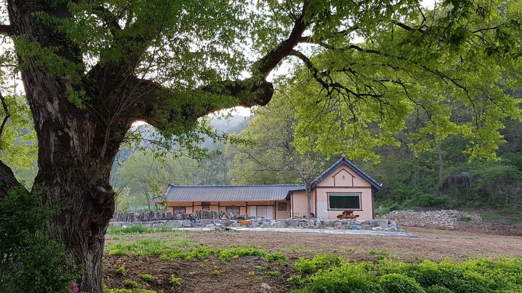 a house with a tree in front of it at Moonlight House in Cheongsong