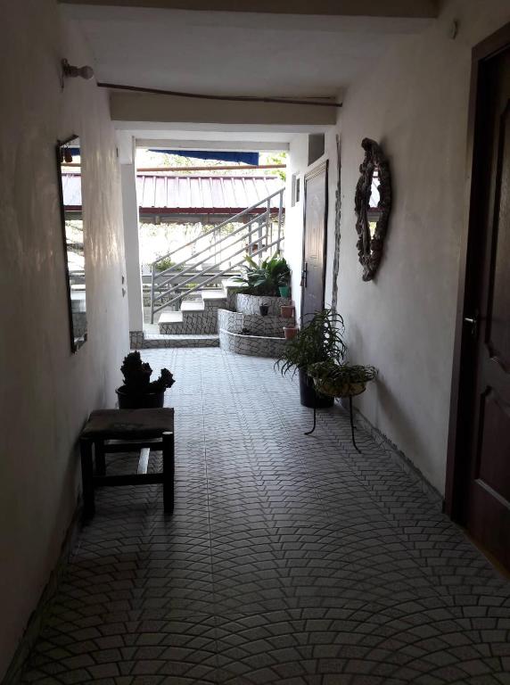 Domácí mazlíčci ubytovaní s hosty v ubytování Guest House KOBULETI #788