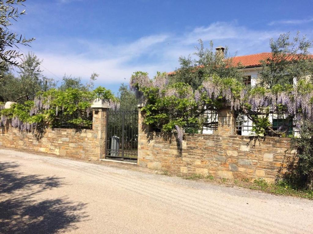 Fotografie z fotogalerie ubytování Villa Liana v destinaci Soúrpi