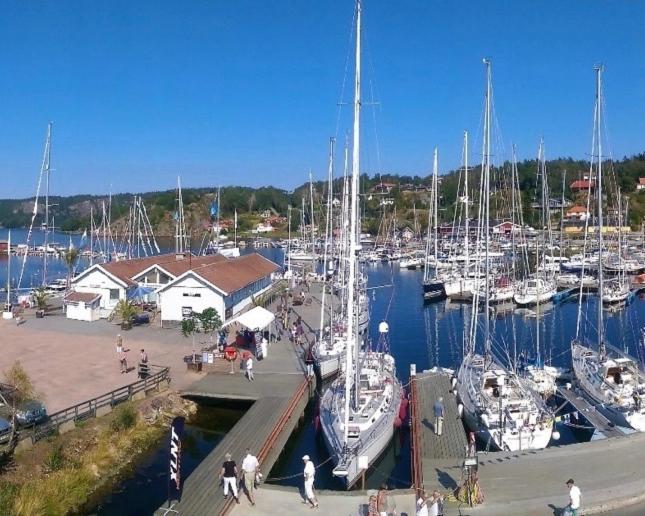 a group of boats docked at a marina at Henåns Hostel in the Marina in Henån