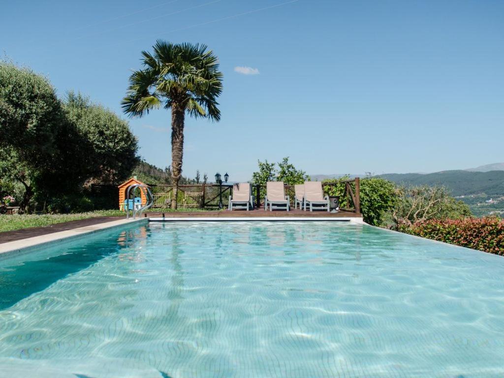 - une piscine avec 2 chaises et un palmier dans l'établissement Casa de Pedras Alvas, à Codeçoso