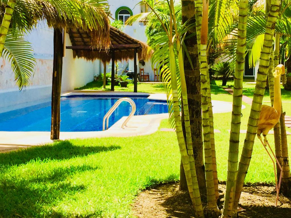 Gorgeous Villa With Pool E8 Playacar Phase 2