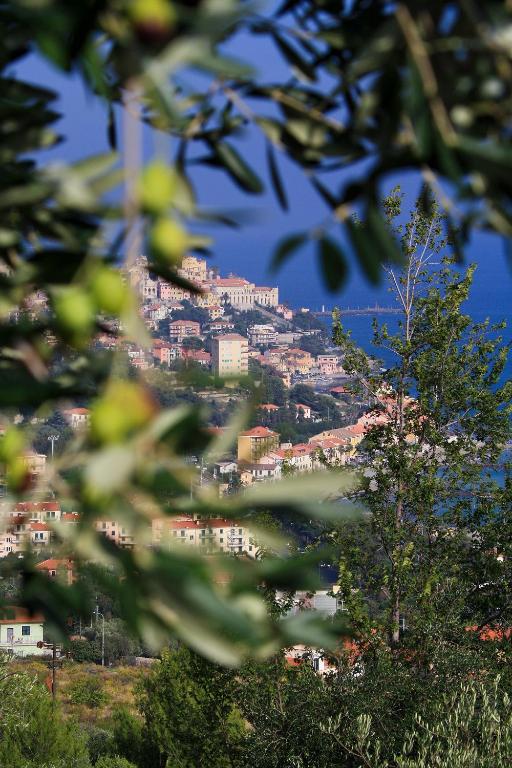 Príroda v okolí apartmánu