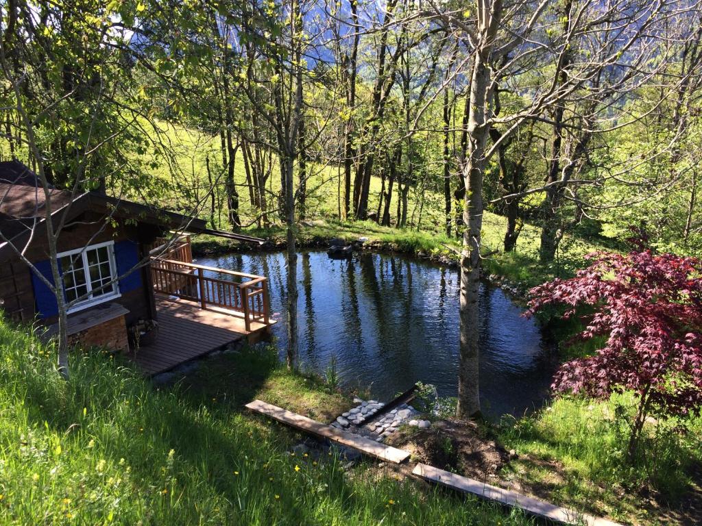 Příroda nedaleko apartmánu