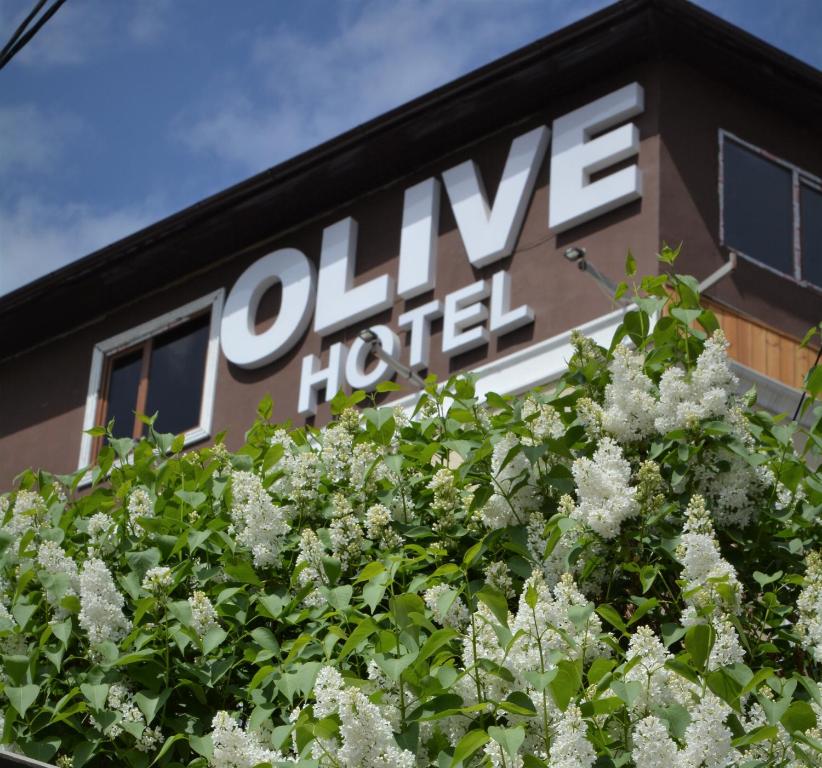 Фотография из галереи Olive Hotel Bishkek в Бишкеке
