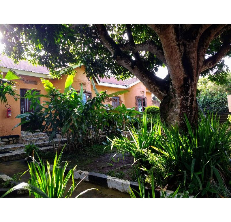 Gorilla African Guest House tesisinin dışında bir bahçe