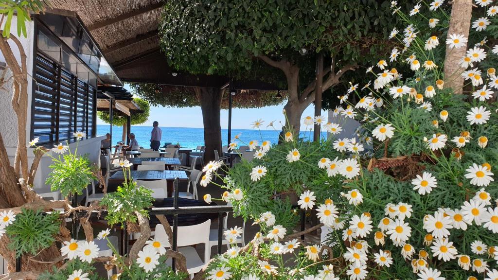 La Hoya, Agua Amarga – Updated 2022 Prices