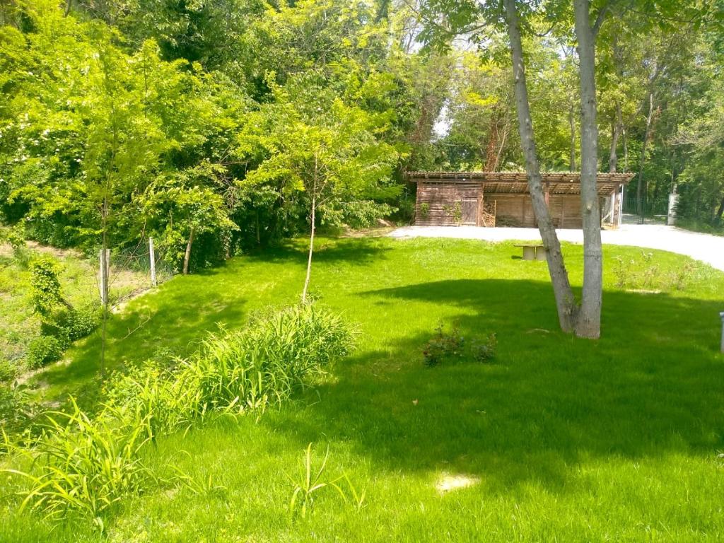 Ogród w obiekcie AMERICA NEI BOSCHI B&B