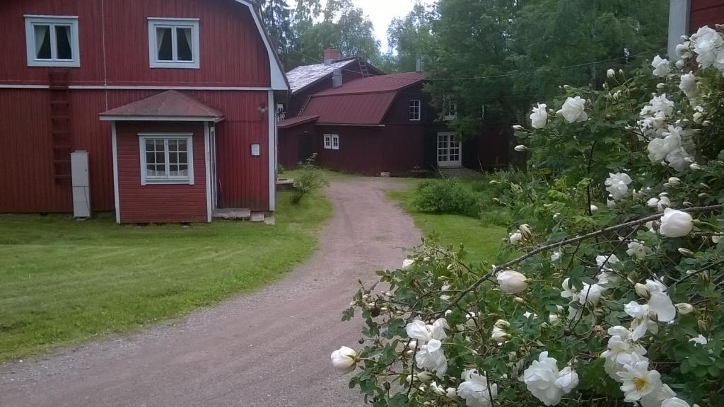 a dirt road next to a red barn with white flowers at Portaan Nahkurinverstas in Porras