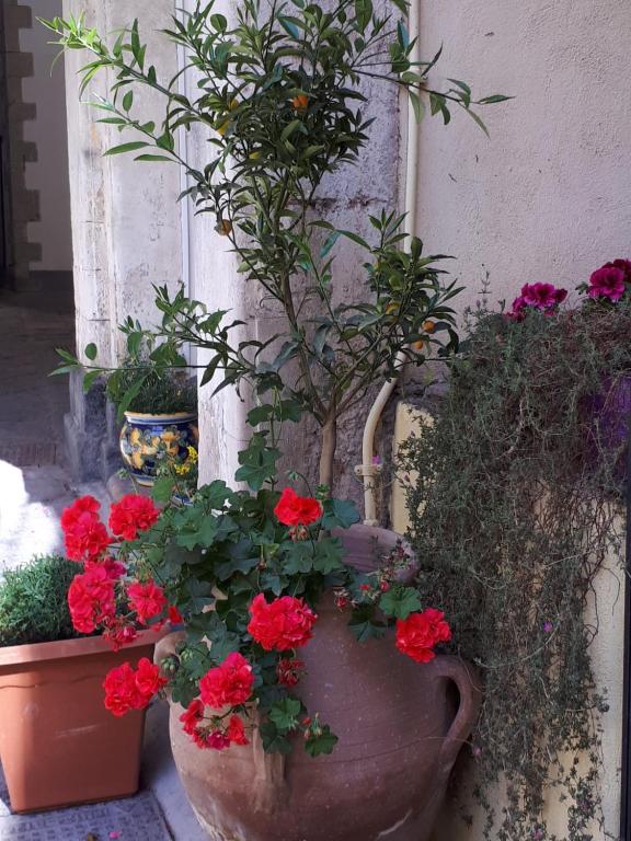 MAMARICO' APARTAMENT - 19