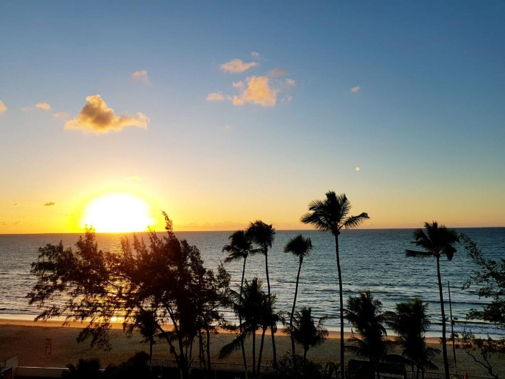  Suite Golden Beach Frente Mar