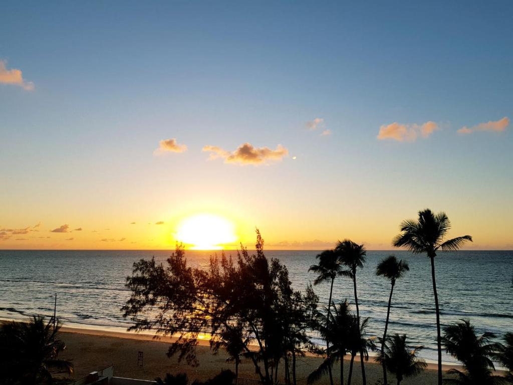  Suite Golden Beach Frente Mar