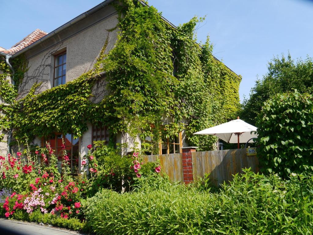 a house covered in ivy with a fence and an umbrella at Haus Vincent Stralsund in Stralsund