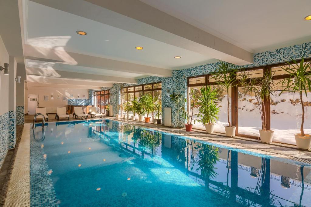 una piscina en un hotel con plantas en Rizzo Boutique Hotel en Poiana Brasov