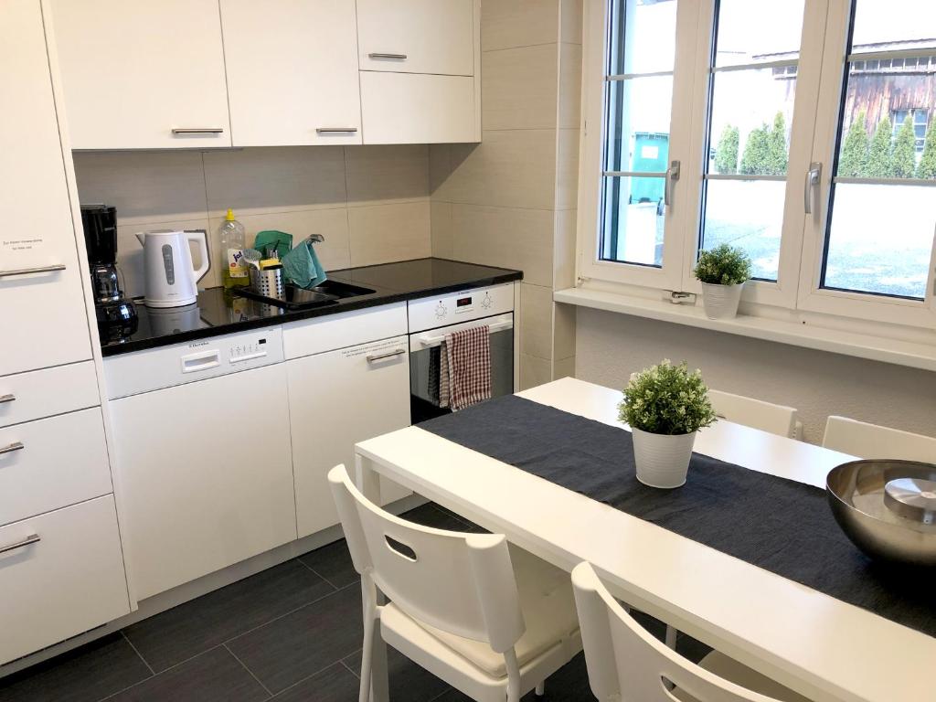 Kuchyň nebo kuchyňský kout v ubytování Ferienwohnung Erlinsbach SO