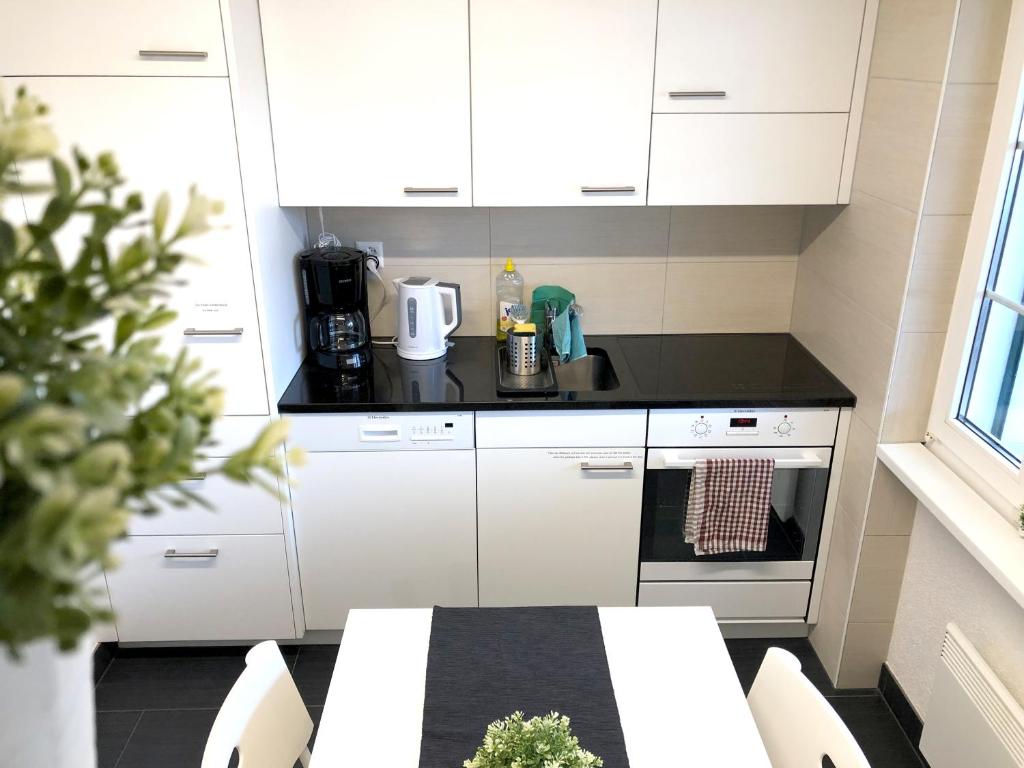 Kuchyň nebo kuchyňský kout v ubytování Ferienwohnung Erlinsbach SO