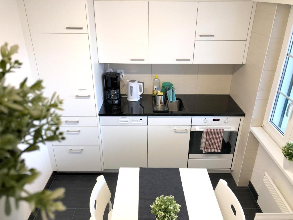 Kuchyň nebo kuchyňský kout v ubytování Ferienwohnung Erlinsbach SO