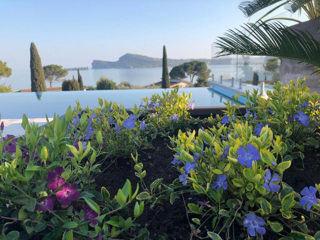 Natuurlandschap vlak bij het resort