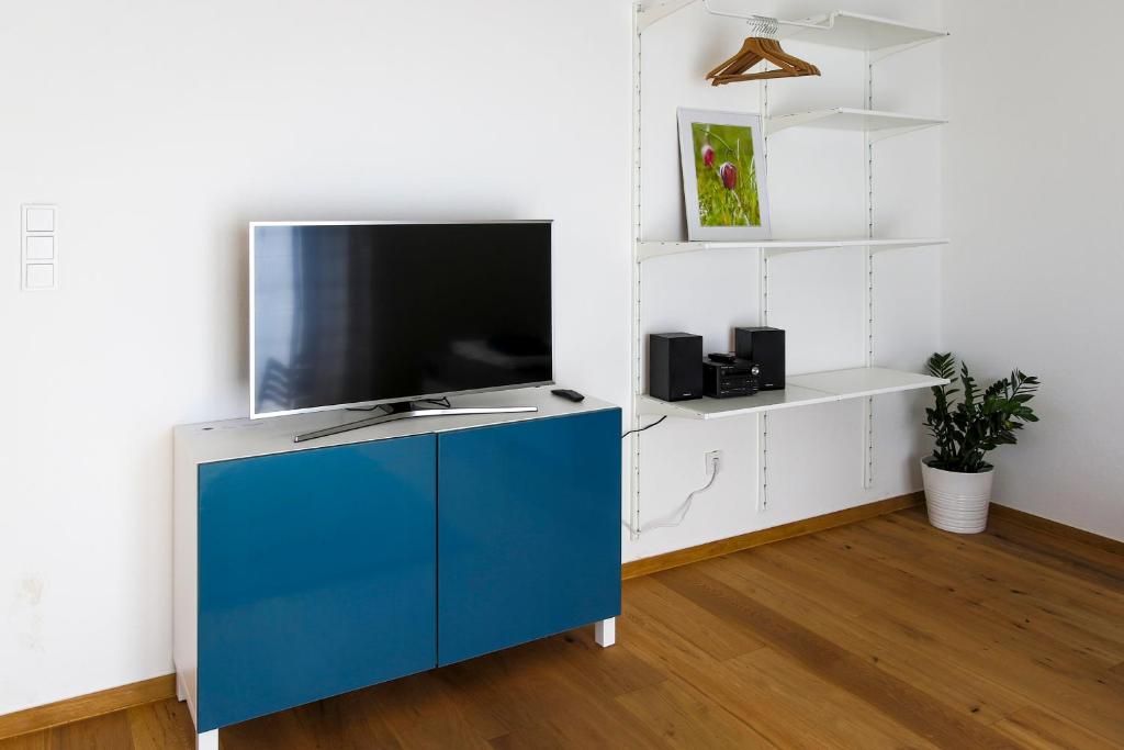 Televízia a/alebo spoločenská miestnosť v ubytovaní Flataid Apartmenthaus Brauhausstrasse