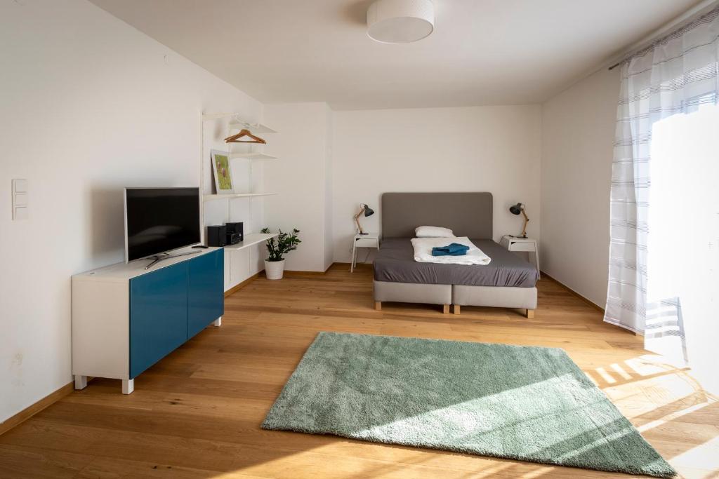 Televízia a/alebo spoločenská miestnosť v ubytovaní Flataid Apartmenthaus Brauhausstrasse
