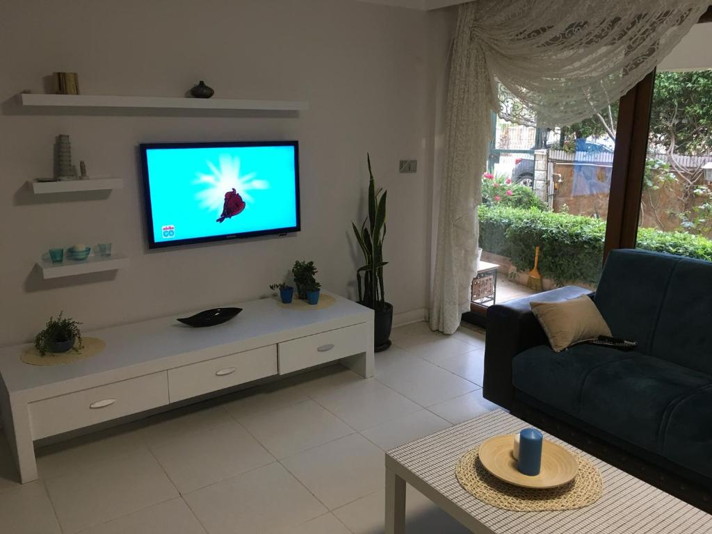 TV a/nebo společenská místnost v ubytování Orange Garden