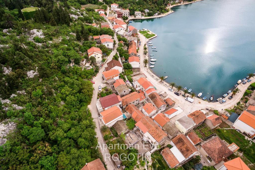 an aerial view of a village next to a lake at Apartman Eva Rogotin in Rogotin