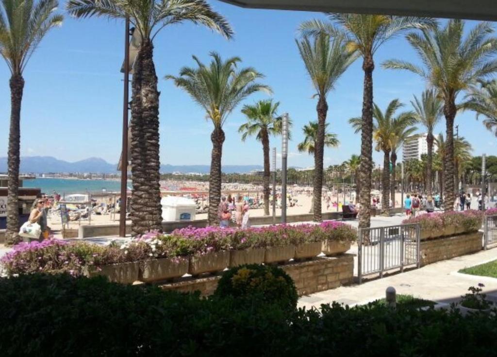 uma vista para uma praia com palmeiras e para o oceano em Bello Horizonte Frontbeach em Salou