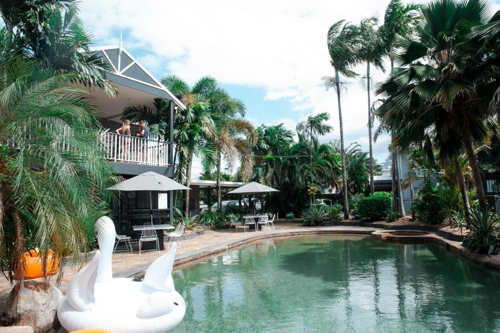 a swimming pool with a white swan in the water at Motel Nomad in Cairns