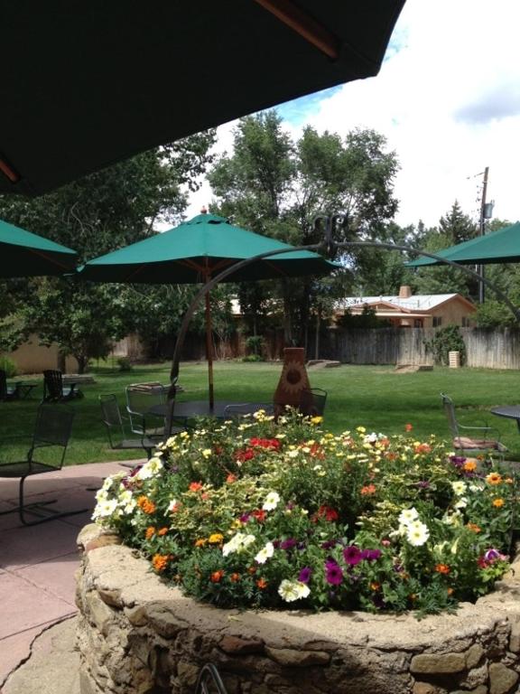 Zahrada ubytování El Pueblo Lodge