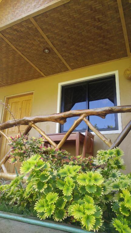 einen Balkon mit einem Haufen Pflanzen und einem Fenster in der Unterkunft MIKI's Guest House in Siquijor