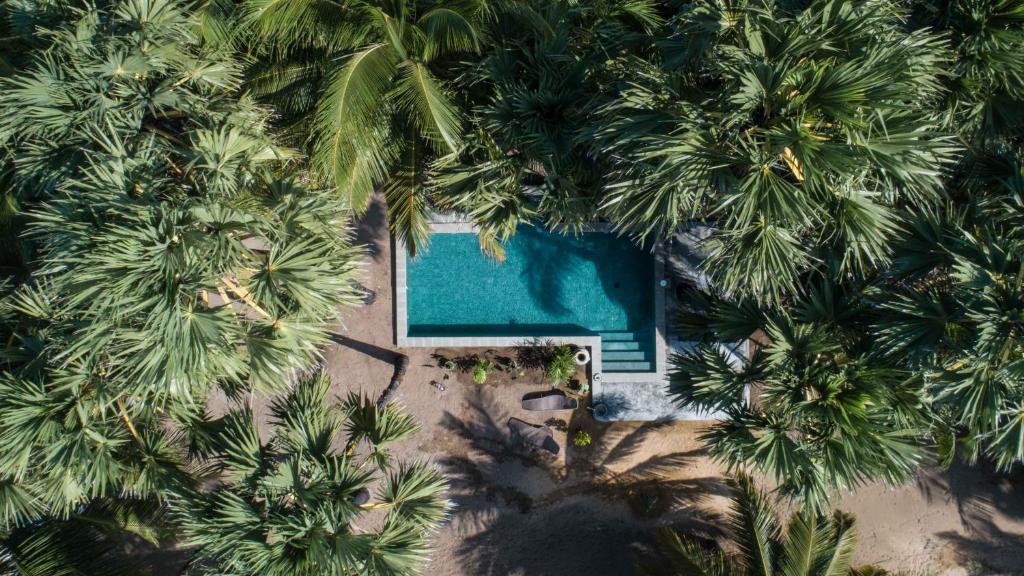 an overhead view of a pool between palm trees at Anawasal in Kalpitiya