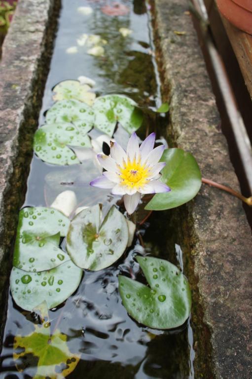 Fotografie z fotogalerie ubytování Cheng-Ping Hot Spring Inn v destinaci Wenquan