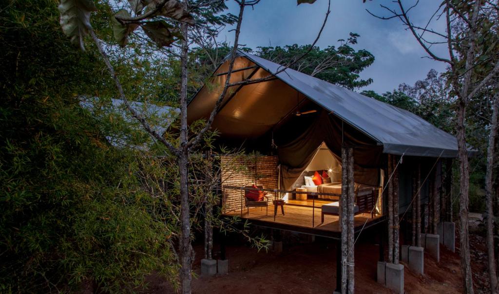 a tent in the middle of the forest at Kaav Safari Lodge, Kabini in Begūr