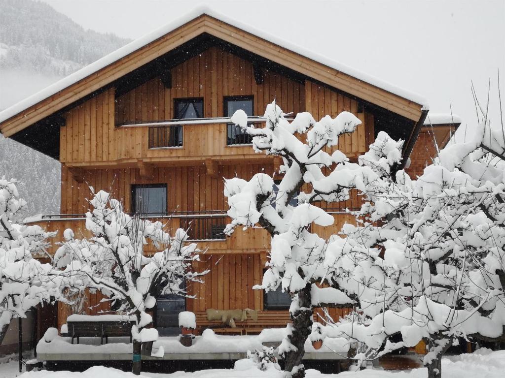 Apartment Rauch during the winter