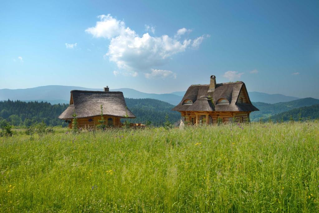 Deux vieilles maisons dans un champ d'herbe dans l'établissement Osada Beskidzka, à Zawoja