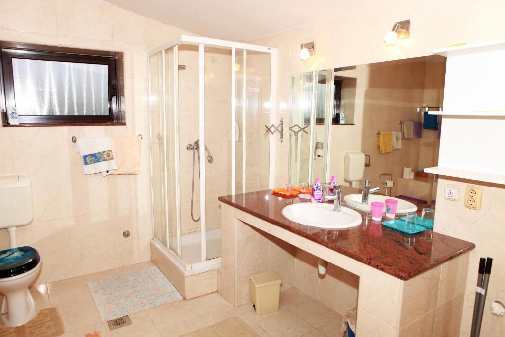 a bathroom with a sink and a shower and a toilet at Apartmani Kristanic in Karlovac