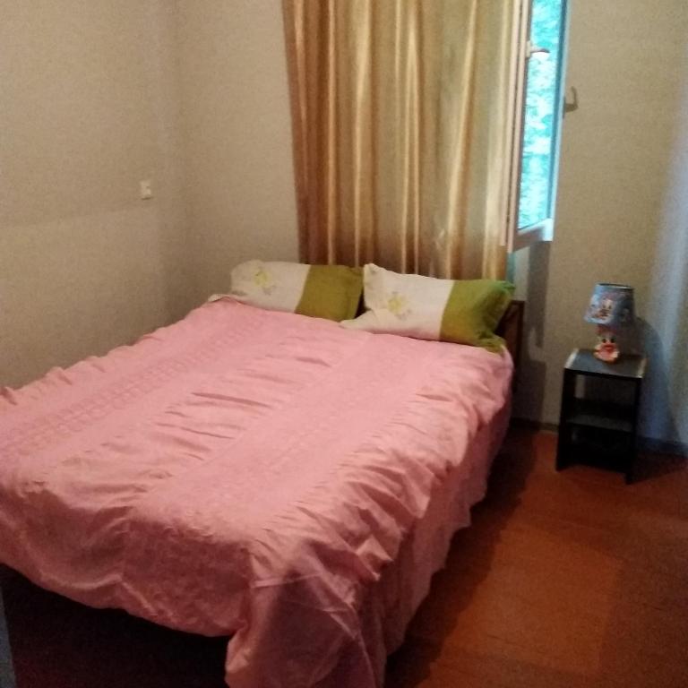 Postel nebo postele na pokoji v ubytování Goga Guesthouse
