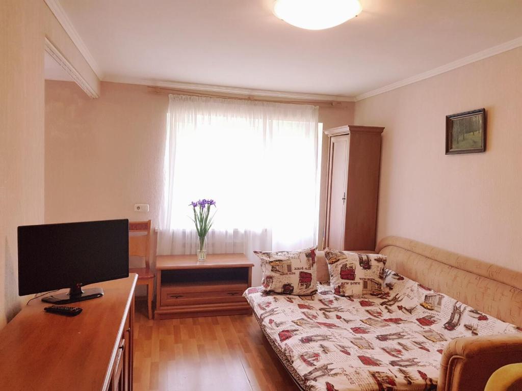 a living room with a couch and a television at Квартира -студія вул. Героїв Севастополя 46/17, поруч НАУ, клініка Шалімова, швидкістний трамвай, Ж/Д вокзал, аеропорт Жуляни in Kyiv