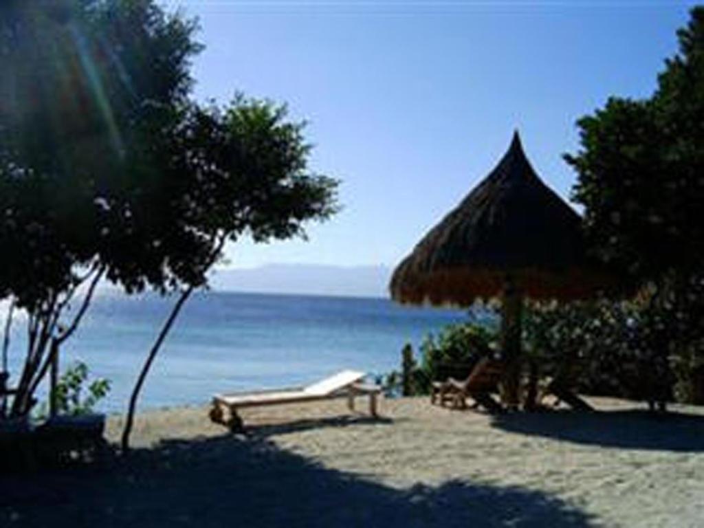 plaża z ławką, parasolem i oceanem w obiekcie Sea Turtle House Moalboal w mieście Moalboal