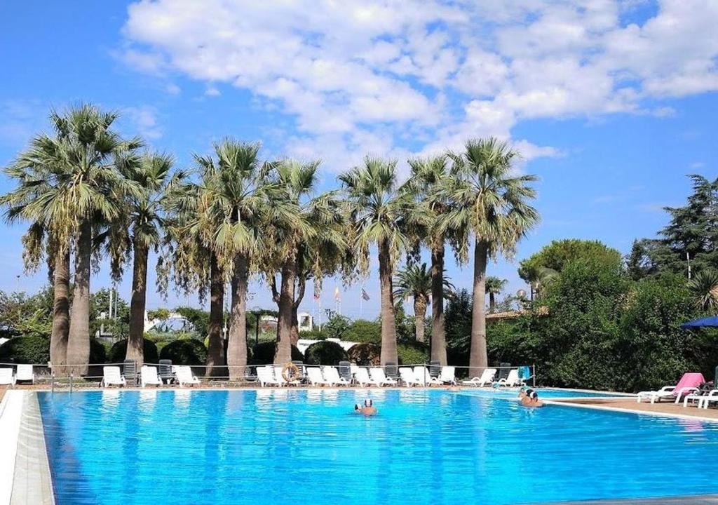 a swimming pool with palm trees and lounge chairs at Villaggio Turistico La Mantinera - Appartamenti de Luxe in Praia a Mare