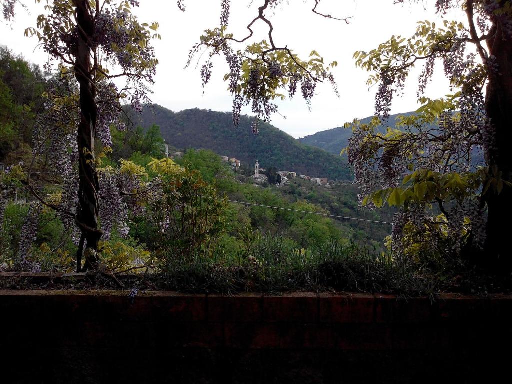 Blick auf ein Tal mit Bergen und Bäumen in der Unterkunft B&B I Glicini in Vescina