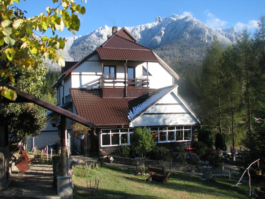 a large house with mountains in the background at pensiunea Gabriela in Durău