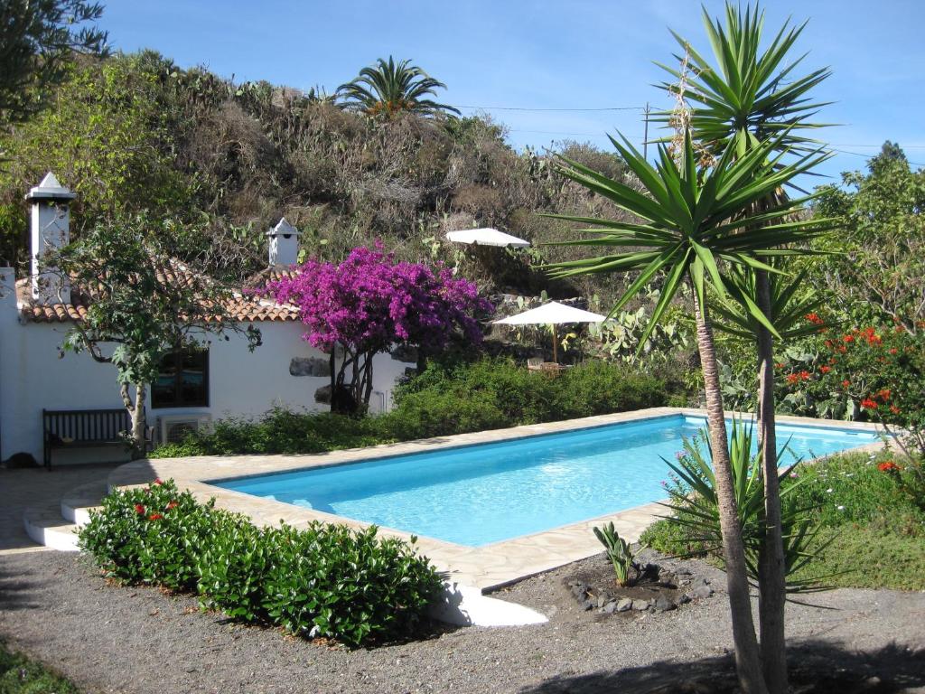 een zwembad in een tuin met een palmboom bij Casa Ruth in Los Llanos de Aridane