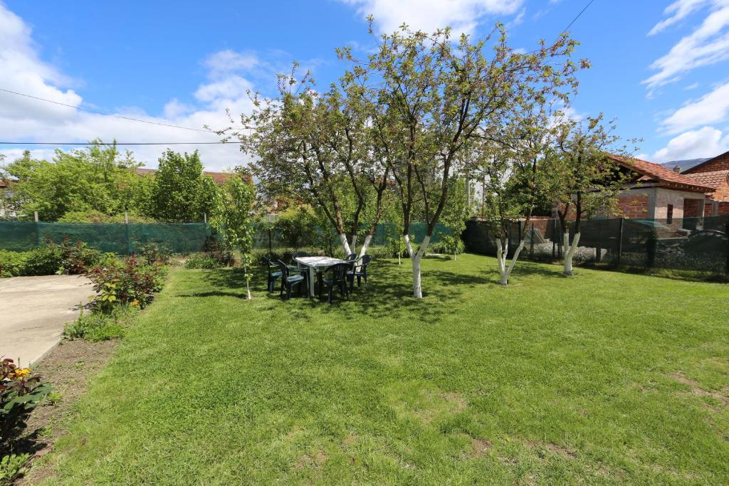 Zahrada ubytování Villa Rita