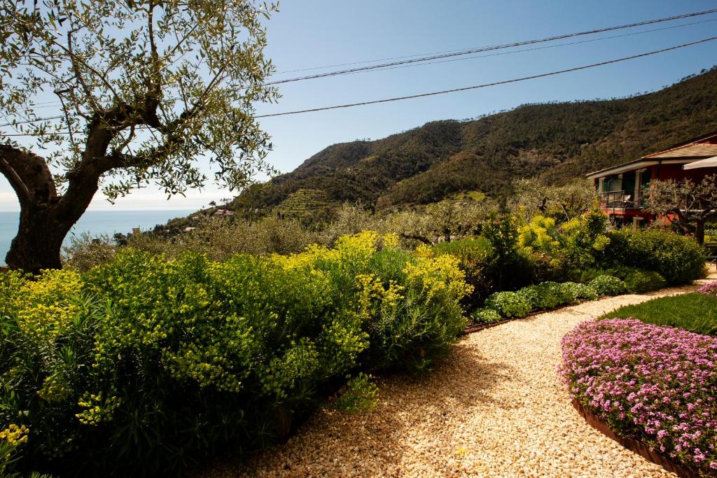 a garden with flowers and a house on a hill at B&B Il Parco in Monterosso al Mare
