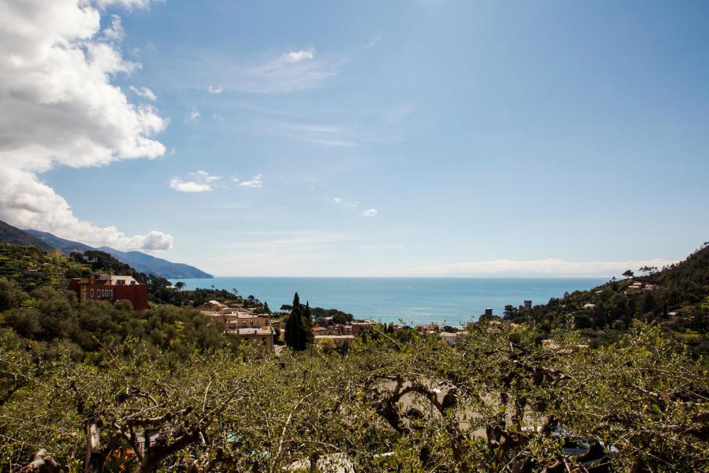 a town on a hill with the ocean in the background at B&B Il Parco in Monterosso al Mare