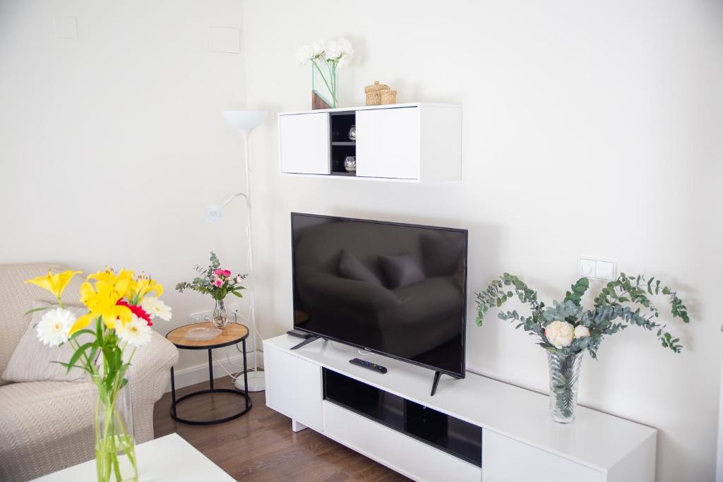 Televízia a/alebo spoločenská miestnosť v ubytovaní Casa La Fuentecilla