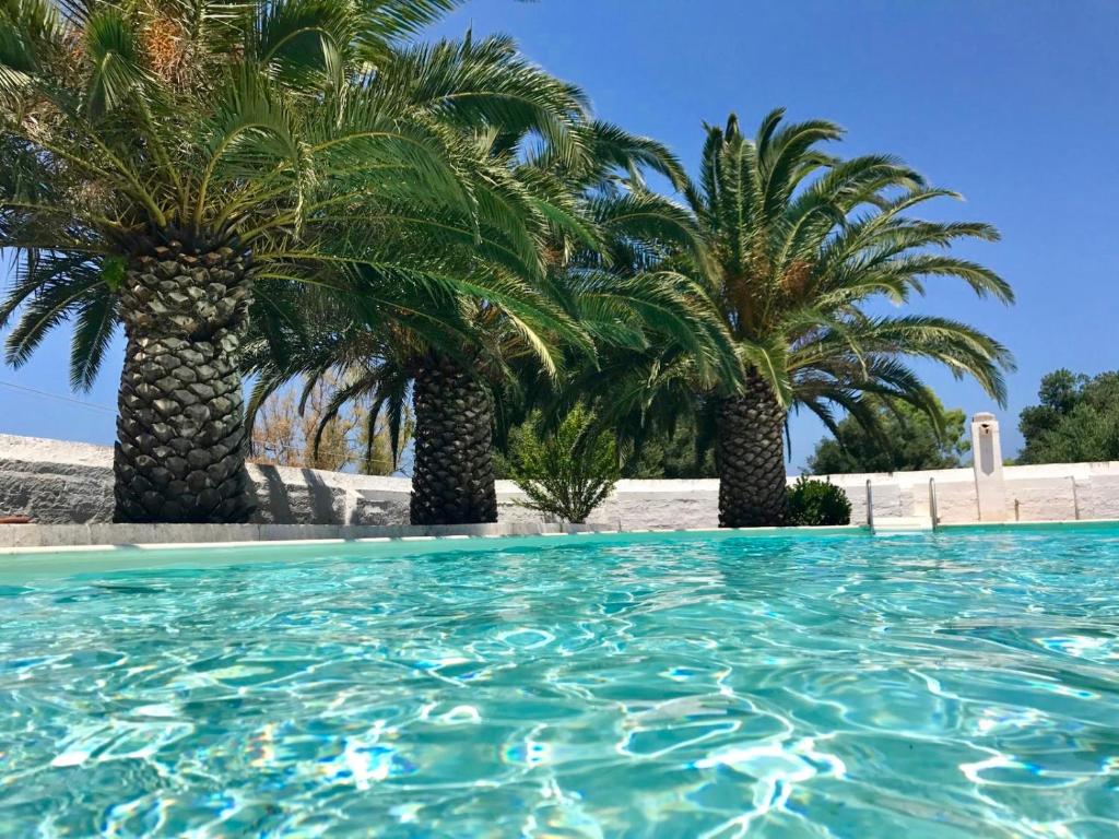 a pool with palm trees in the background at Masseria Rienzo in Ostuni