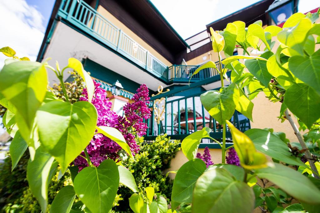 Zahrada ubytování Landgasthof zur Goldenen Traube