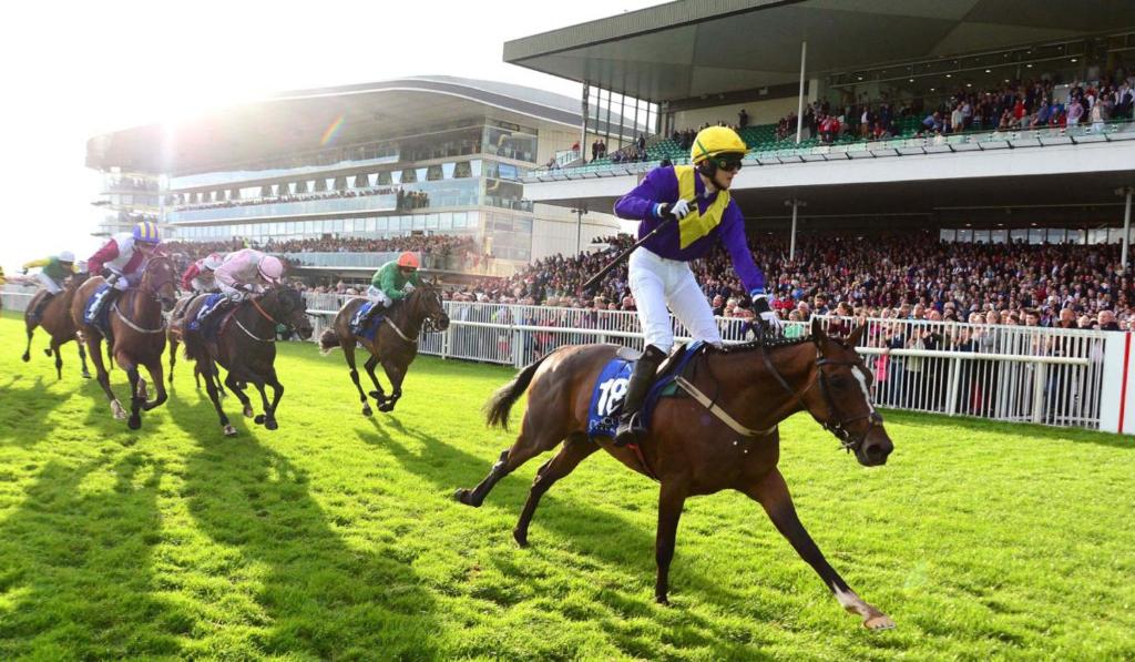 Travelodge Plus Galway - Resim 17